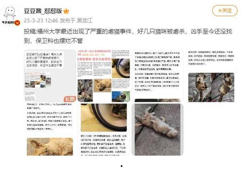 福州自媒体爆料事件视频,视频揭露惊人真相  第1张